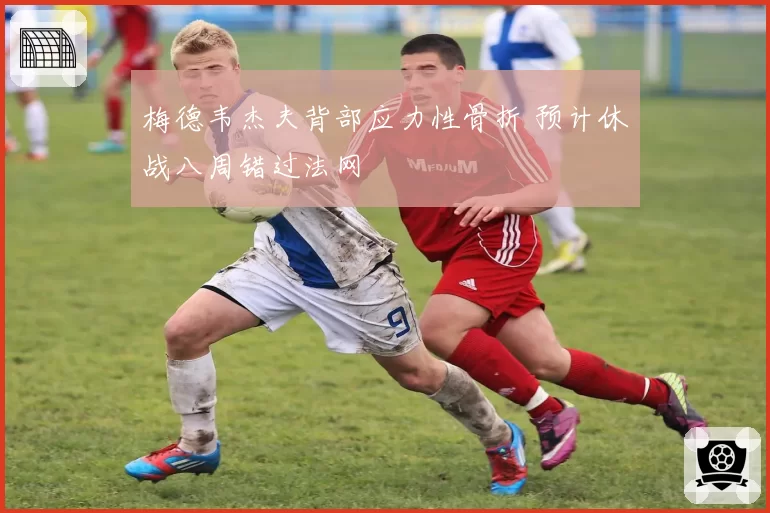 梅德韦杰夫背部应力性骨折 预计休战八周错过法网