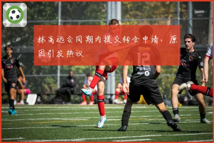 林高远合同期内提交转会申请,原因引发热议