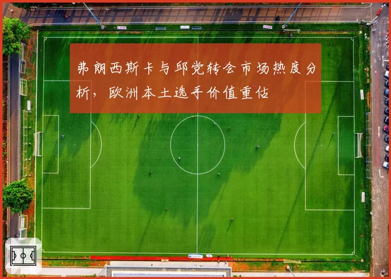 弗朗西斯卡与邱党转会市场热度分析,欧洲本土选手价值重估