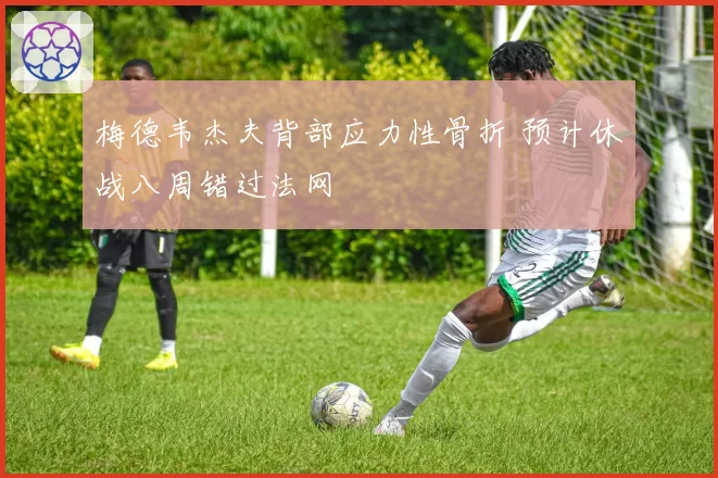 梅德韦杰夫背部应力性骨折 预计休战八周错过法网