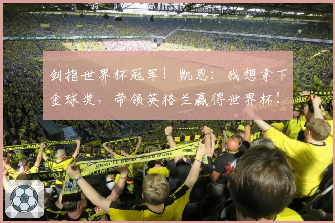 剑指世界杯冠军！凯恩：我想拿下金球奖，带领英格兰赢得世界杯！