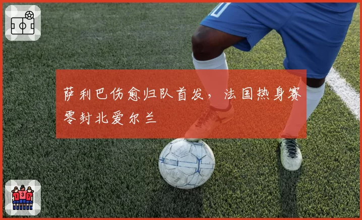 萨利巴伤愈归队首发,法国热身赛零封北爱尔兰